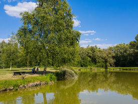 Etangs communaux de Gizy