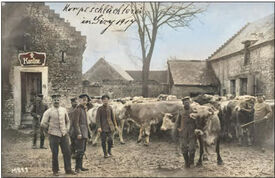 1917 - Cantine et abattoir - Gizy