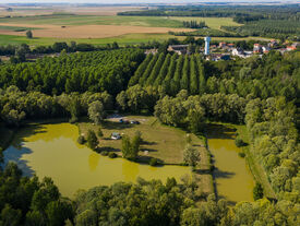 Etangs communaux de Gizy